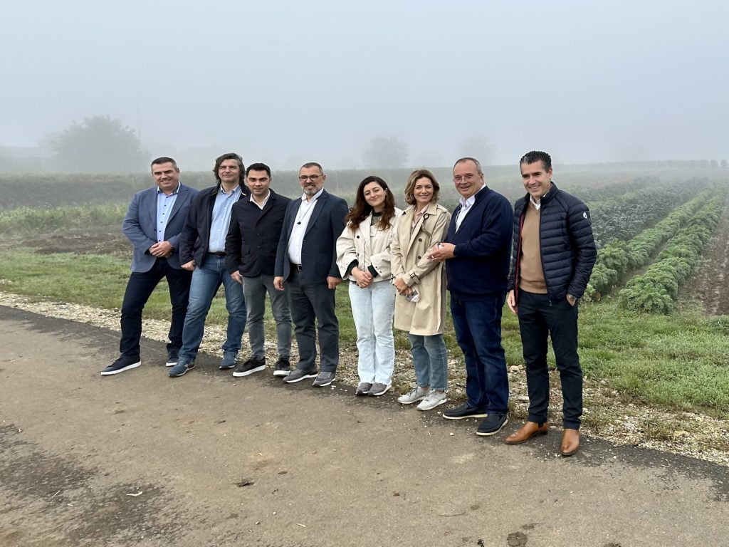 Wines of Romania DVR CARREFOUR