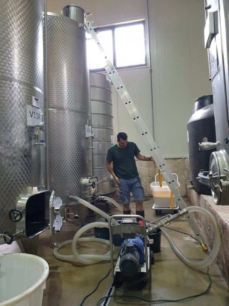 Munca in Crama
Vin de calitate